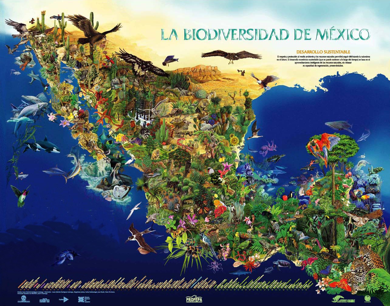 Biodiversidad en M&eacute;xico